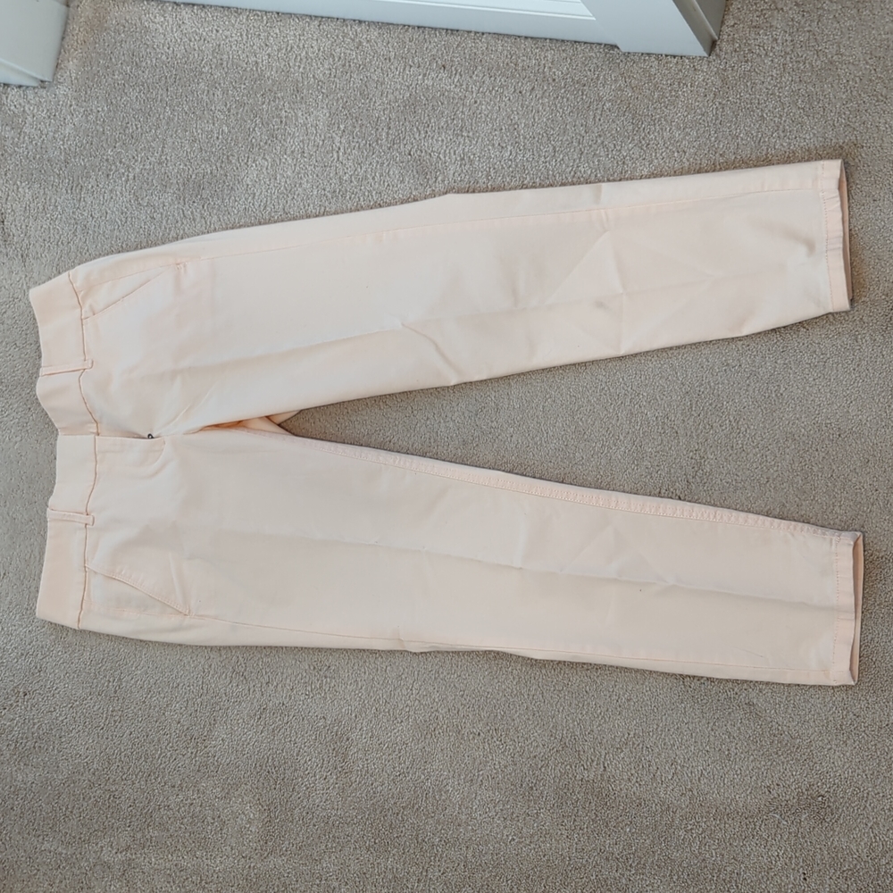 Anne Taylor Loft pants